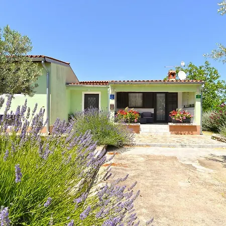 House Rudi 1504